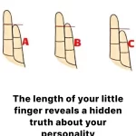 The length of your little finger could reveal unsuspected aspects of your personality