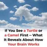 If You See a Turtle or a Camel First—What It Reveals About How Your Brain Works