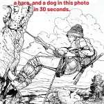Can you find the goose, the hare and the dog?