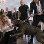 He unleashed his pit bull on the waitress, but the monster everyone feared chose to protect her instead